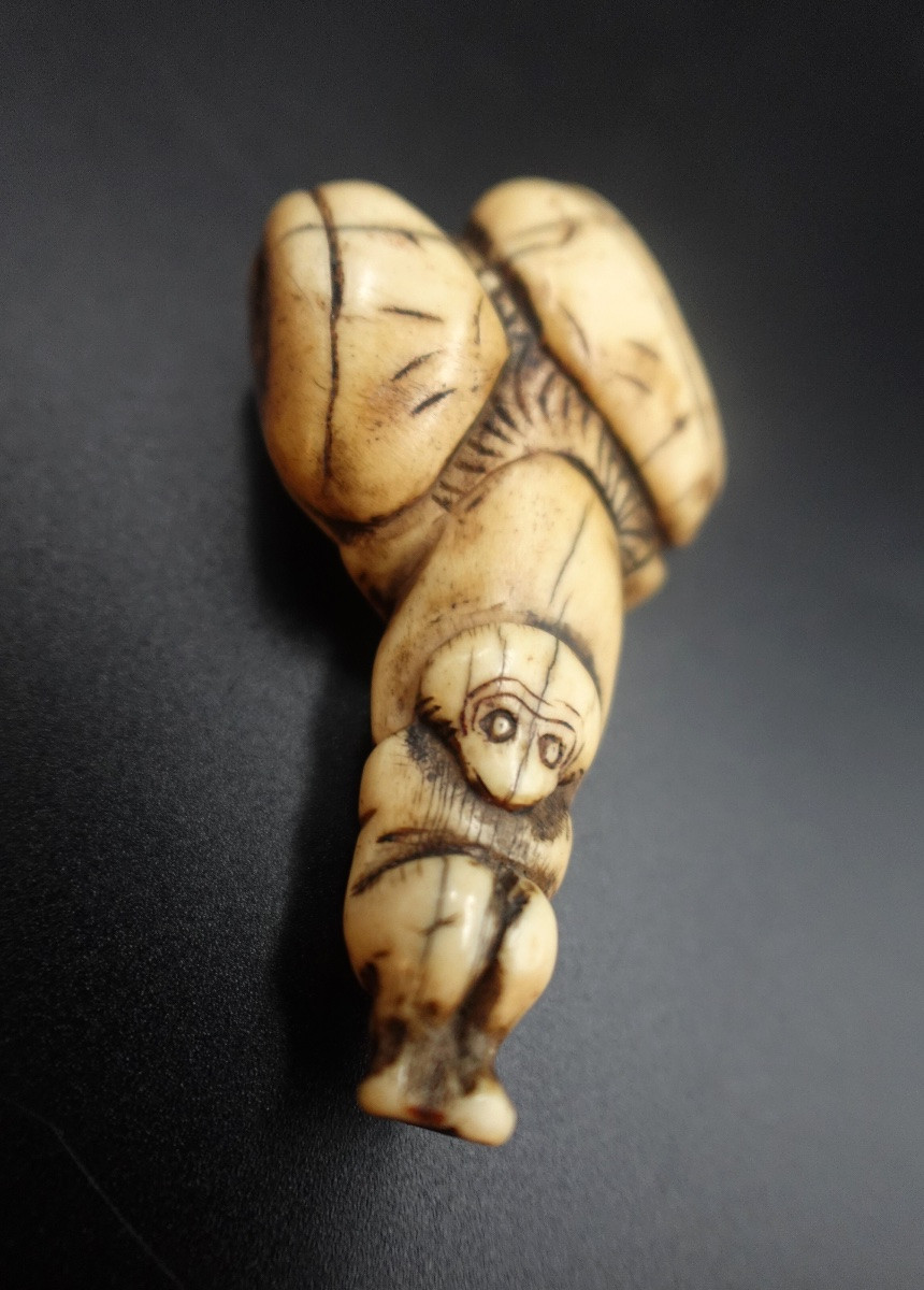 Japon, milieu Époque Edo (1603–1868) - Netsuke shunga en andouiller « porteur aux ballots »-photo-1