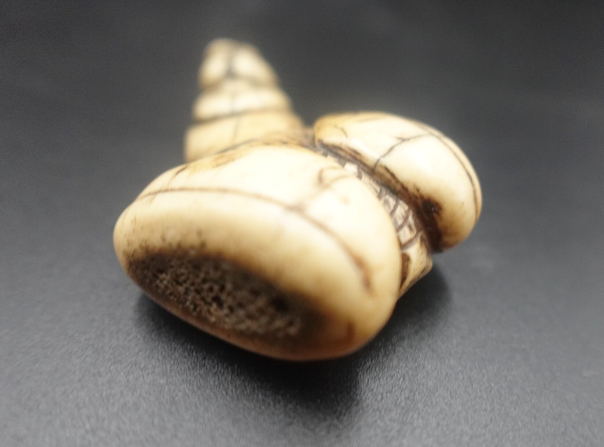 Japon, milieu Époque Edo (1603–1868) - Netsuke shunga en andouiller « porteur aux ballots »-photo-2
