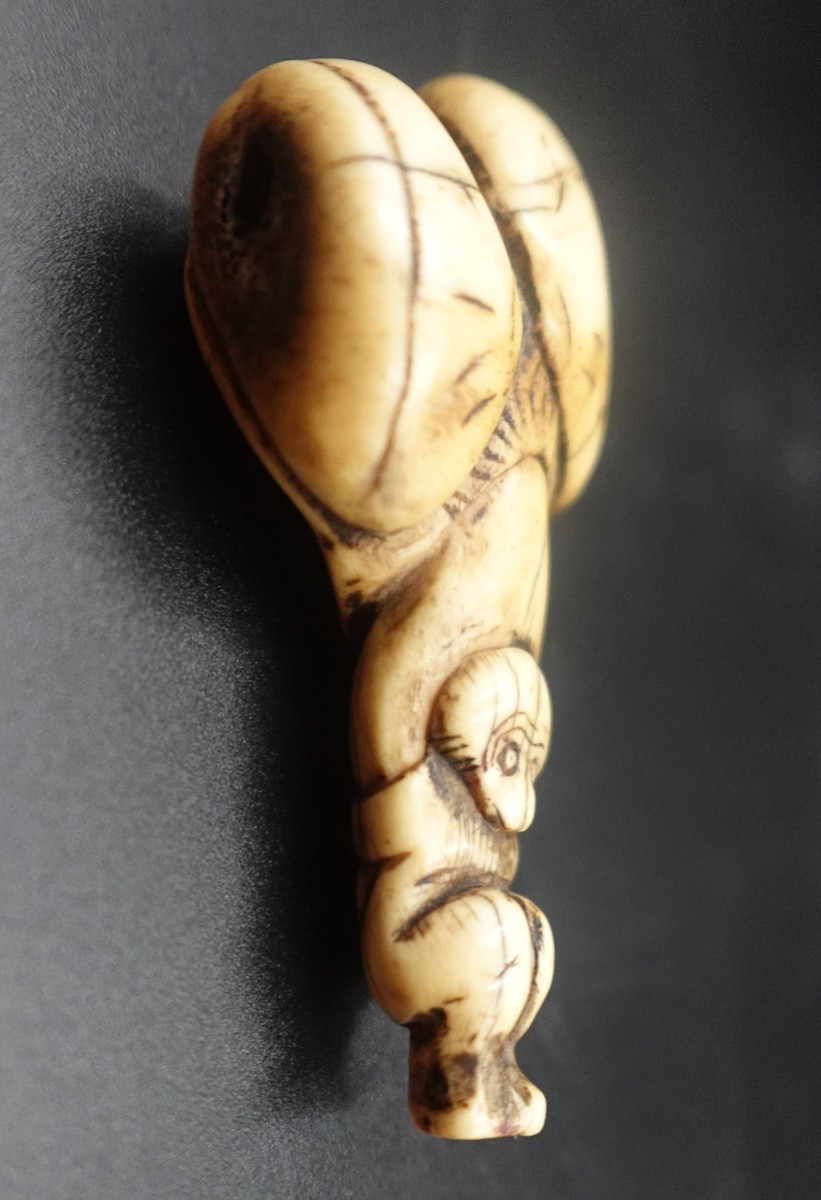 Japon, milieu Époque Edo (1603–1868) - Netsuke shunga en andouiller « porteur aux ballots »-photo-4