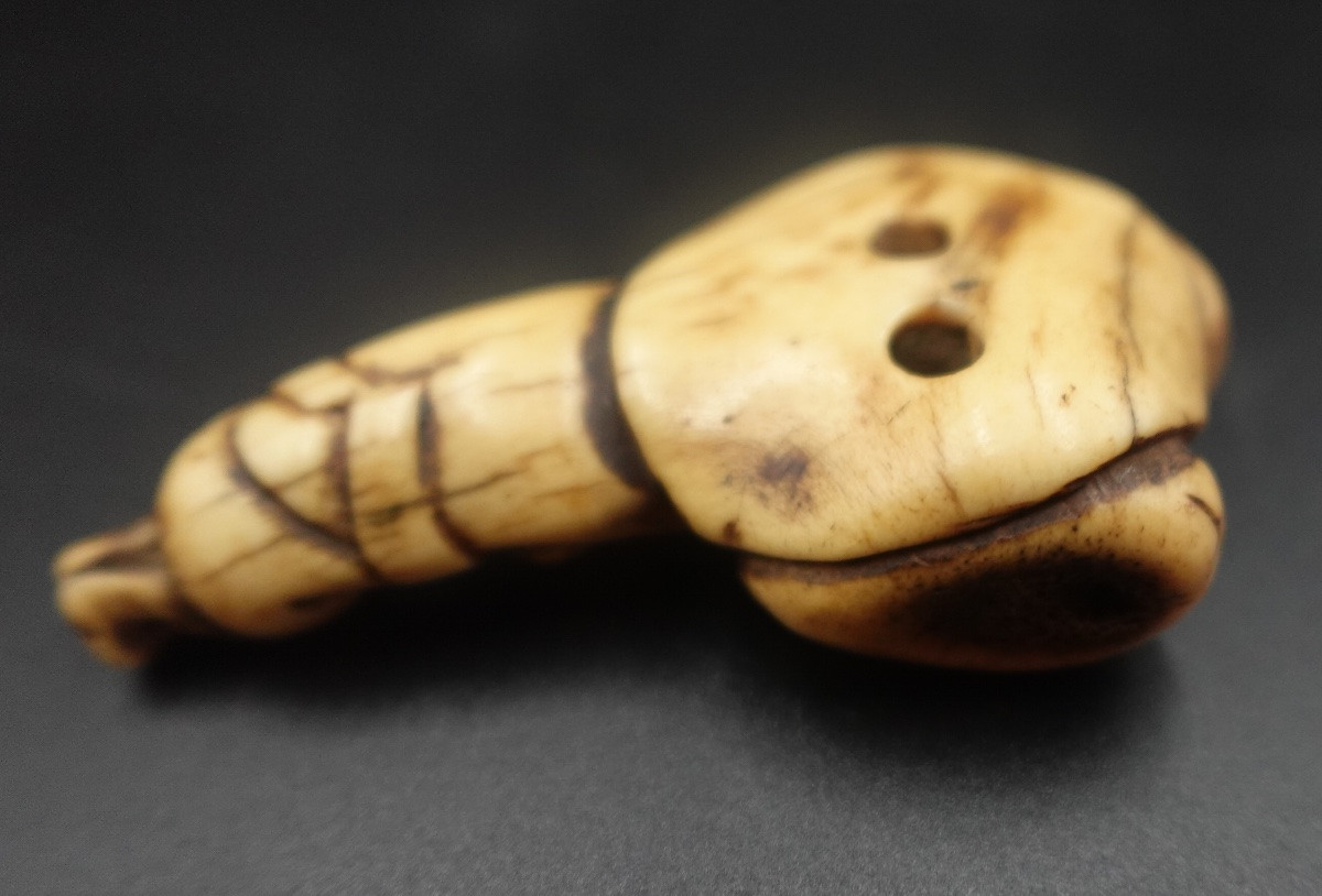 Japon, milieu Époque Edo (1603–1868) - Netsuke shunga en andouiller « porteur aux ballots »-photo-8