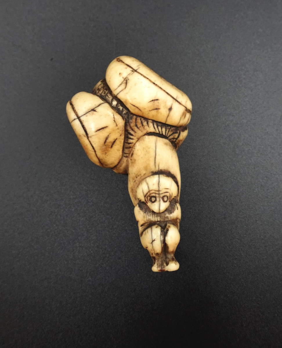 Japon, milieu Époque Edo (1603–1868) - Netsuke shunga en andouiller « porteur aux ballots »