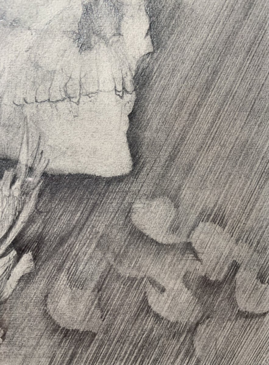 Frédéric Heydt - Vanity: Skull In Flames, Pencil Drawing C. 1960 - Memento Mori-photo-2