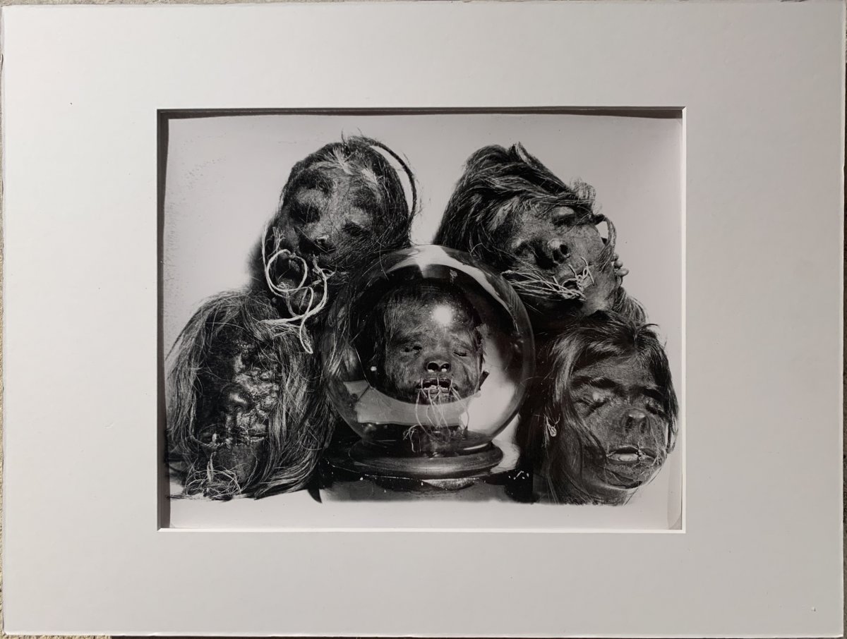 Photographie De Têtes Réduites Tsantzas D’amérique Du Sud, C. 1960 - Tirage Argentique d'époque-photo-2