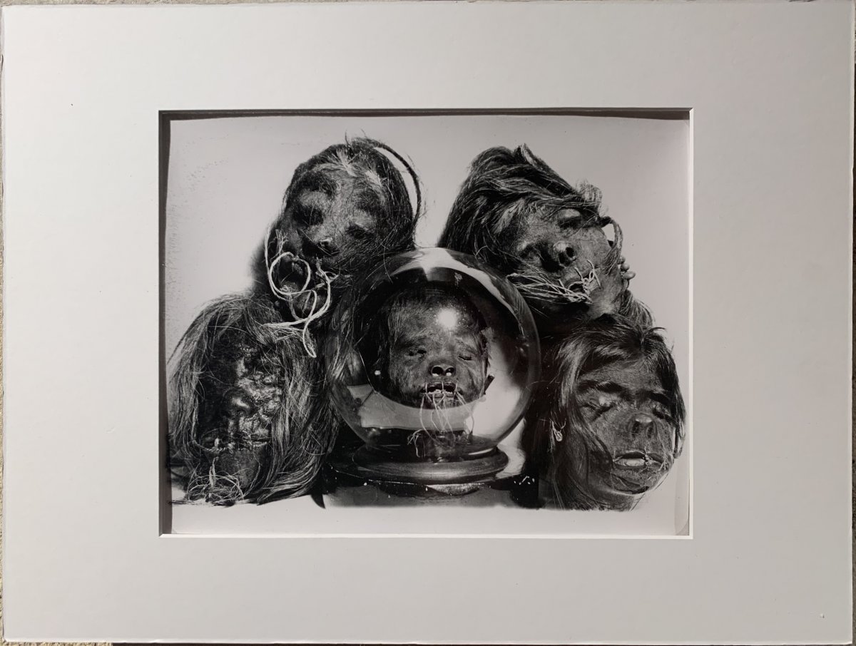 Photograph Of Tsantzas Shrunken Heads From South America, C. 1960 - Vintage Silver Print-photo-2