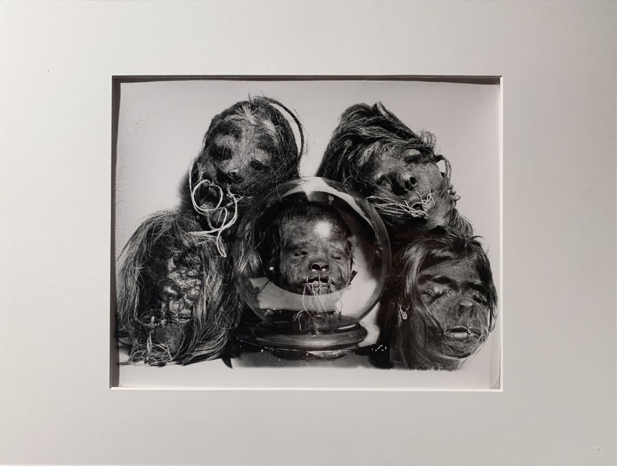 Photograph Of Tsantzas Shrunken Heads From South America, C. 1960 - Vintage Silver Print-photo-3