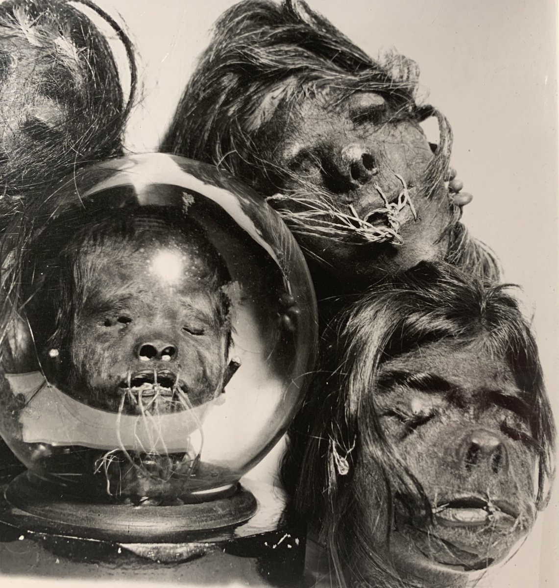 Photograph Of Tsantzas Shrunken Heads From South America, C. 1960 - Vintage Silver Print-photo-1