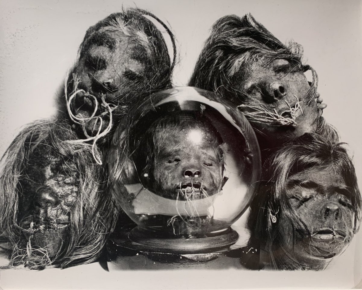 Photographie De Têtes Réduites Tsantzas D’amérique Du Sud, C. 1960 - Tirage Argentique d'époque