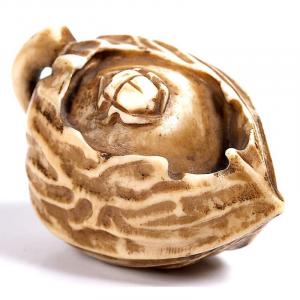 Japon ère Edo - Netsuke Signé à Décor De Scarabée Japonais Sur Un Fruit