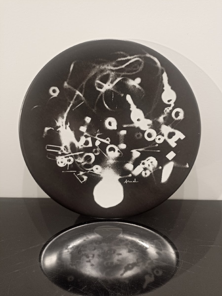 François Arnal's Trash Plate -photo-4