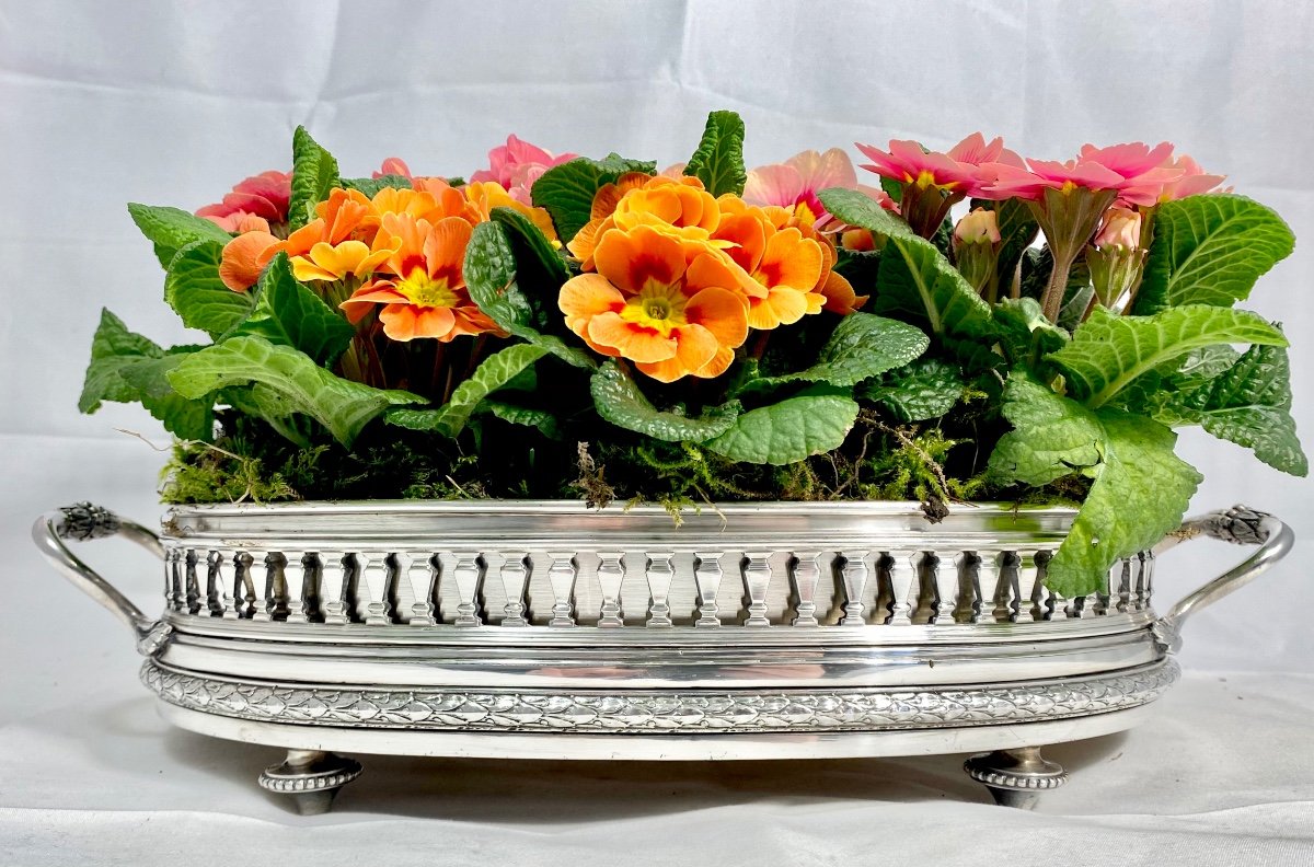 Louis XVI Centerpiece , Silverplated Bronze, Late 19th Century, France-photo-2