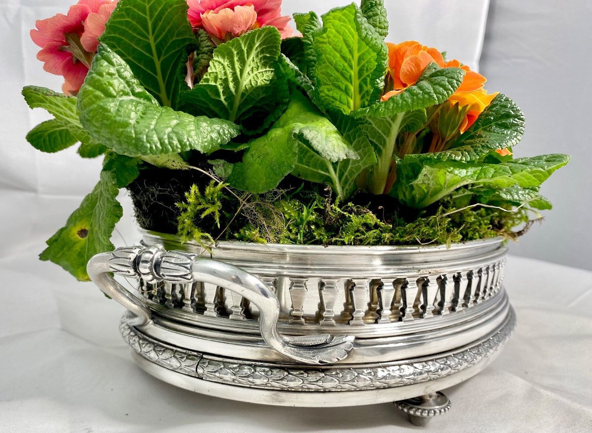 Louis XVI Centerpiece , Silverplated Bronze, Late 19th Century, France-photo-7