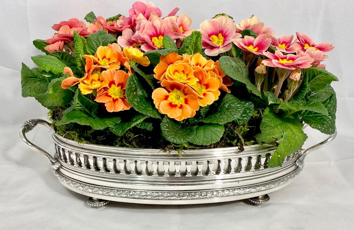 Louis XVI Centerpiece , Silverplated Bronze, Late 19th Century, France