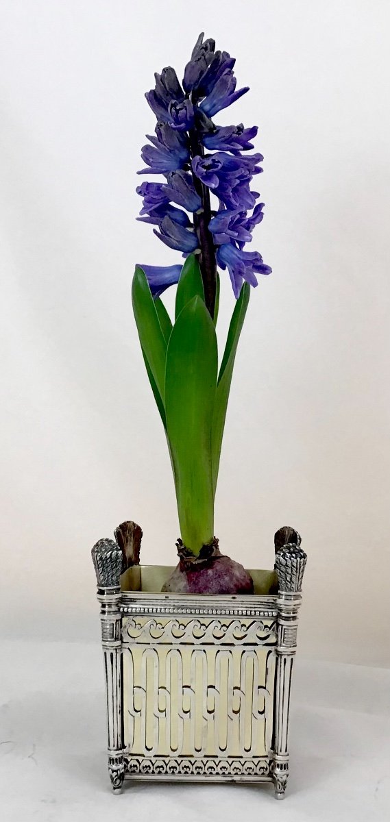 Louis XVI Centerpiece , Sterling Silver, Austro-hungarian Empire, Circa 1890-1910-photo-6