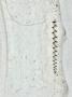 1318011-alb-6619d392be955.jpg