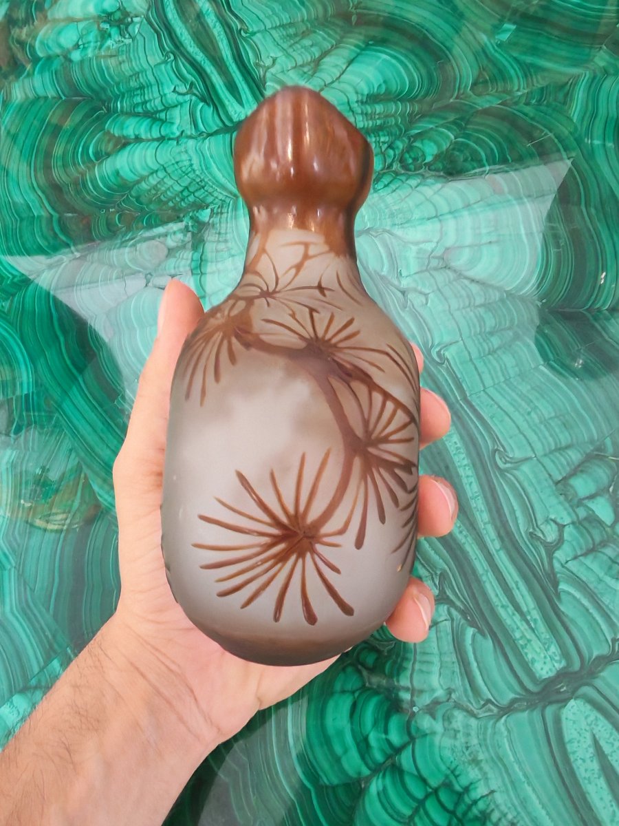 Vase en Verre d'Emile Gallé-photo-1