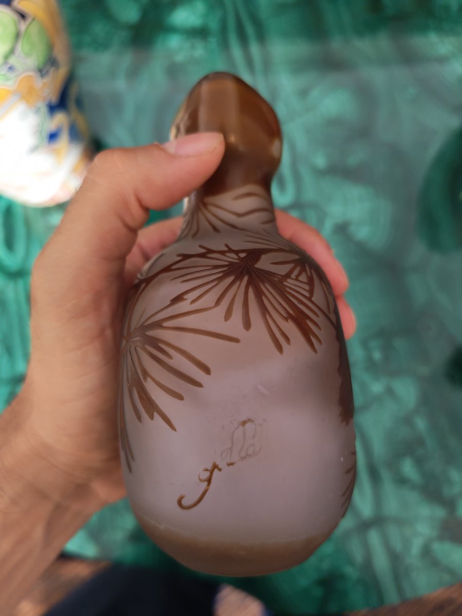 Vase en Verre d'Emile Gallé-photo-3
