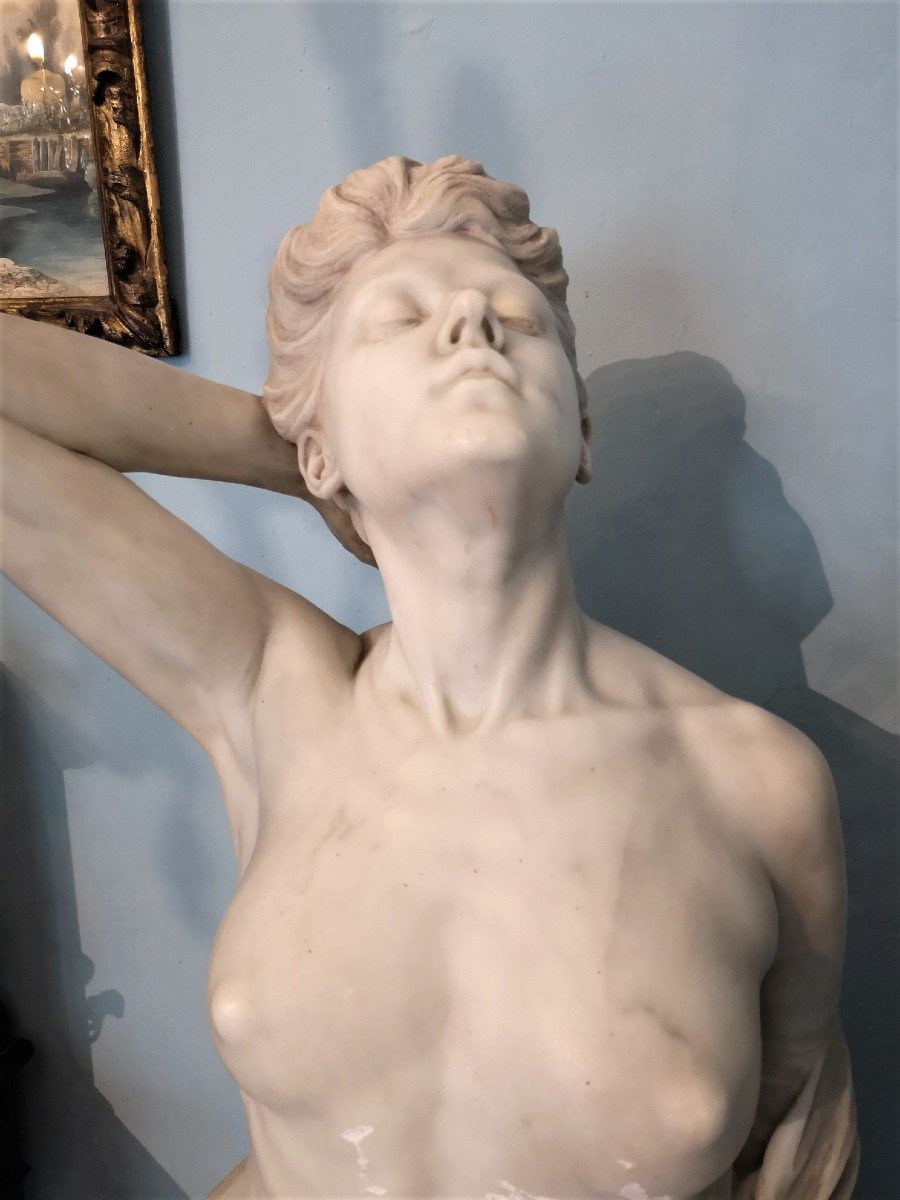 Important Carrara White Marble Bust By Carlo Made-photo-1