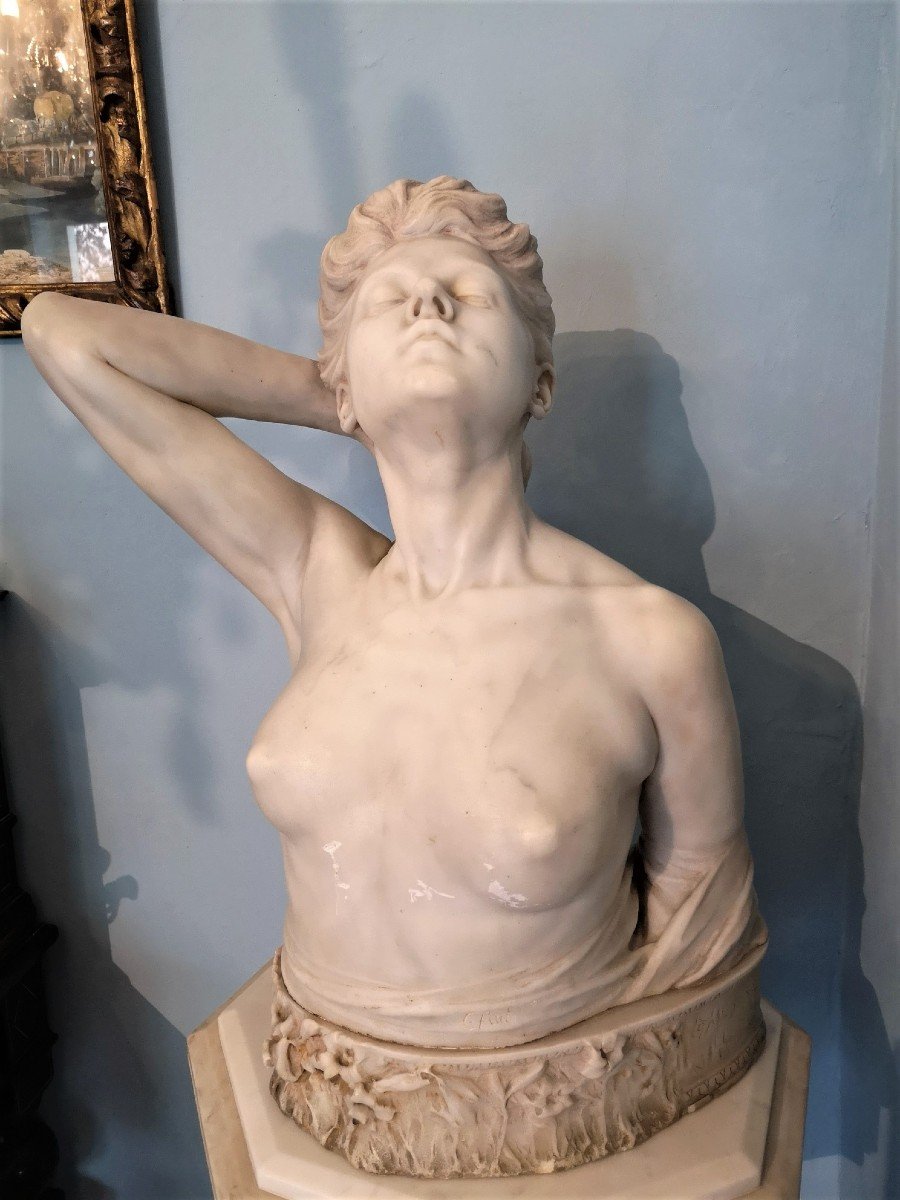Important Carrara White Marble Bust By Carlo Made