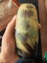 1788693-6a48cd1953483.jpg