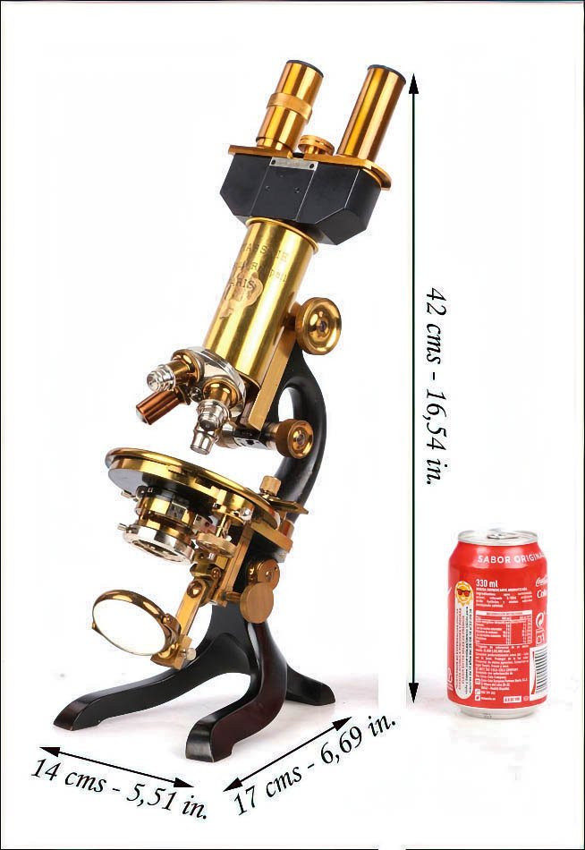 Antique Professional M. Stiassnie Microscope With Binocular Accessory. France, Circa 1920-photo-2