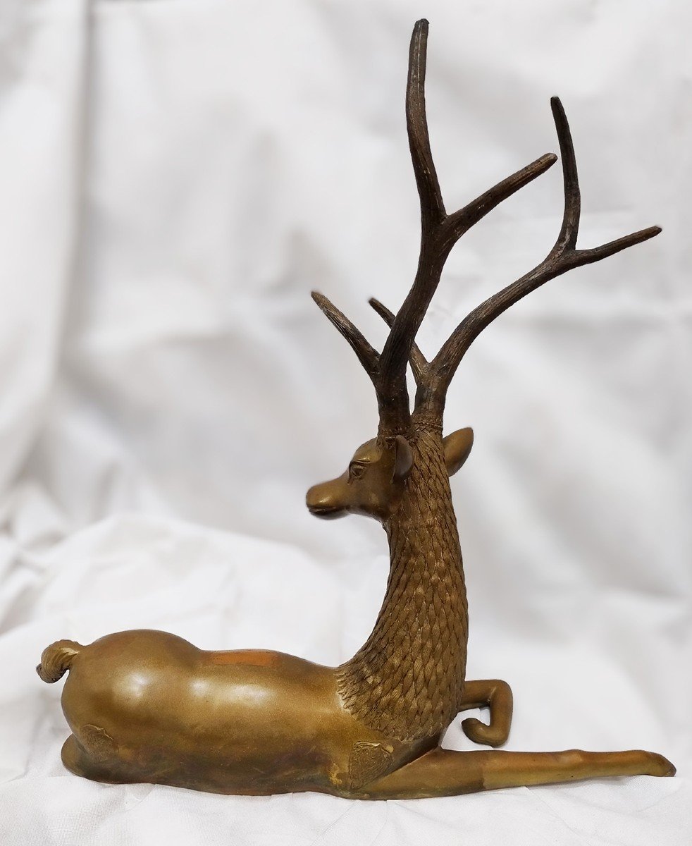 Brass Fawn-photo-2