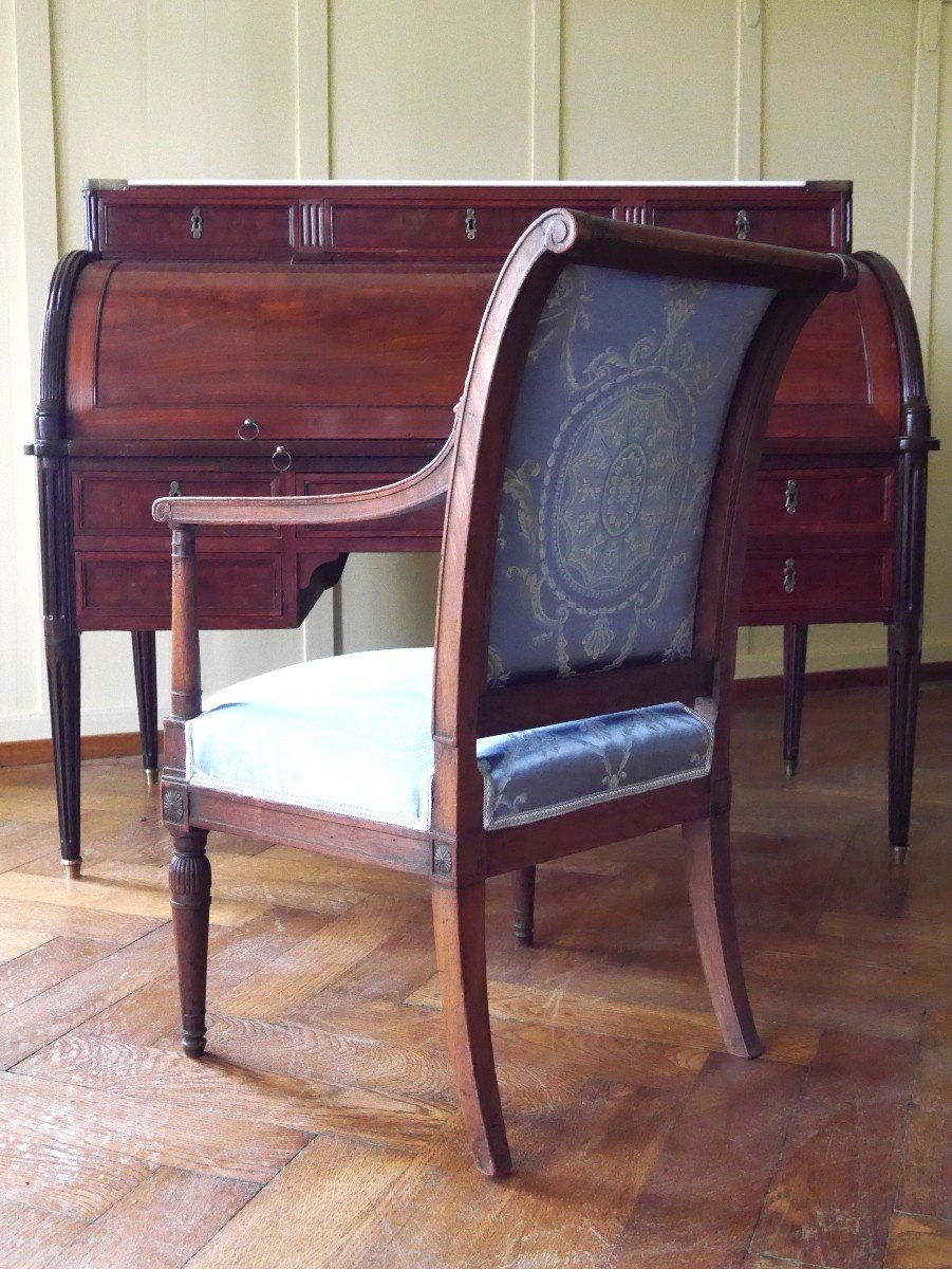 Salon Directoire Dans Le Goût Jacob, XVIIIe Siècle-photo-3
