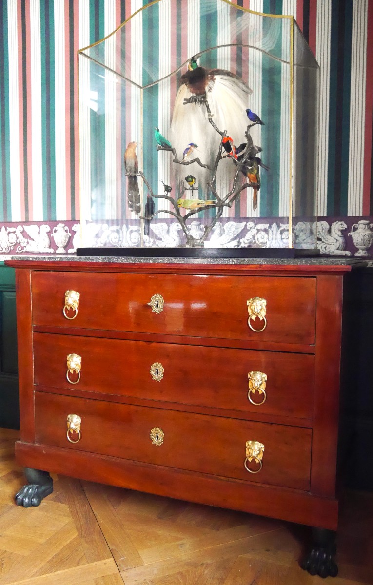 Commode Empire En Acajou, Début XIXe-photo-7