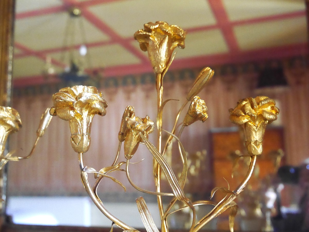 Pair Of Louis XVI - Directory Period Candelabras, Late 18th Century-photo-3