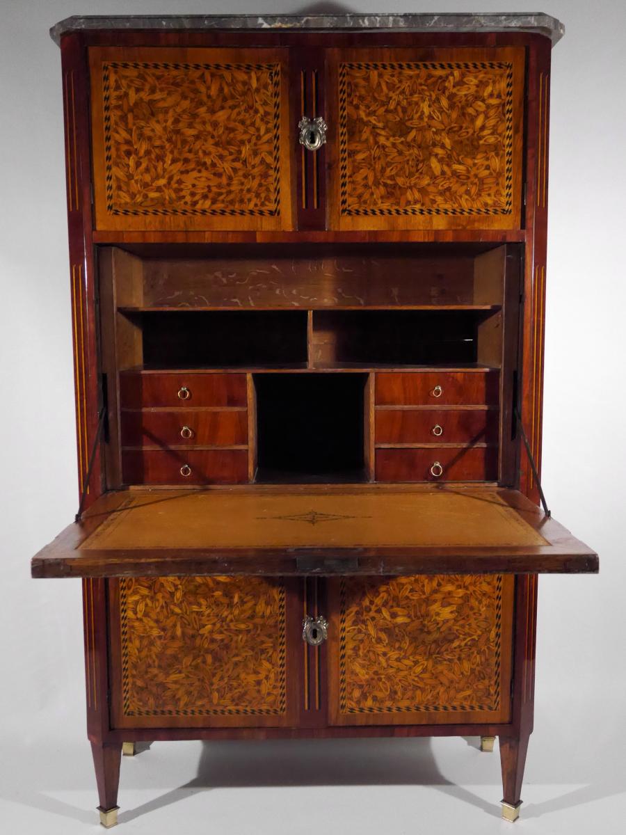 Louis XVI Writing Desk In End Grain Wood, 18th Century