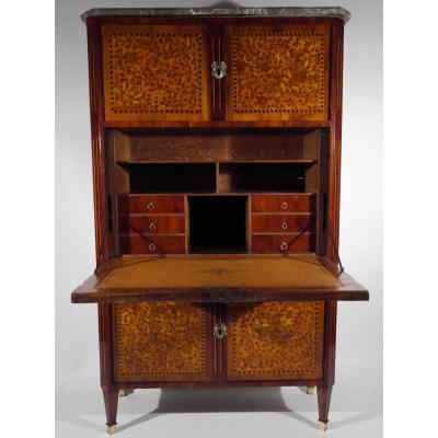 Louis XVI Writing Desk In End Grain Wood, 18th Century