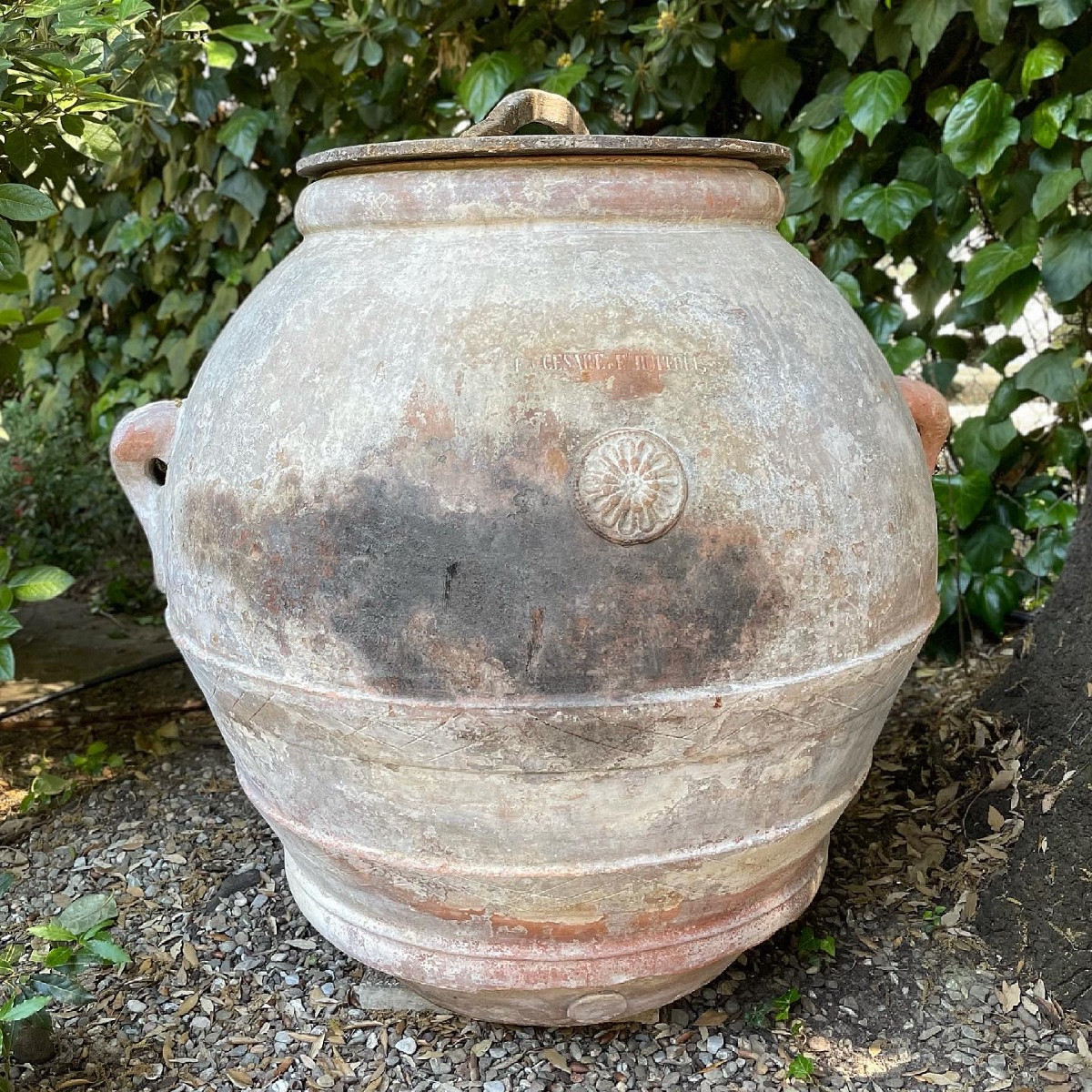 Tuscan Jars Of Various Sizes 19th Century .-photo-2