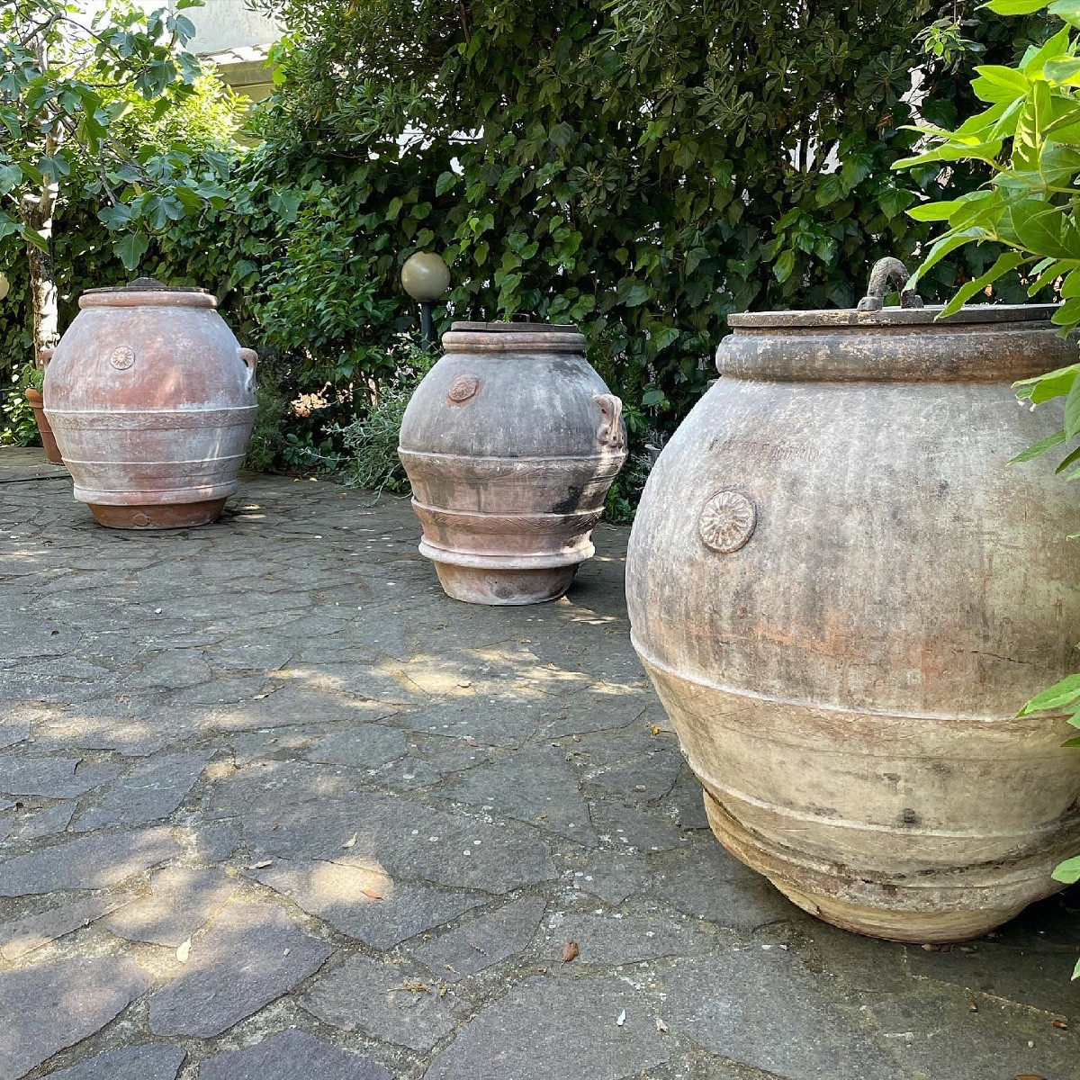 Tuscan Jars Of Various Sizes 19th Century .