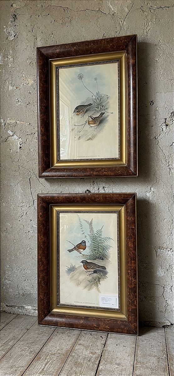 Lithographies aquarellées de la fin du XIXe siècle