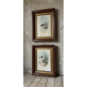 Lithographies aquarellées de la fin du XIXe siècle
