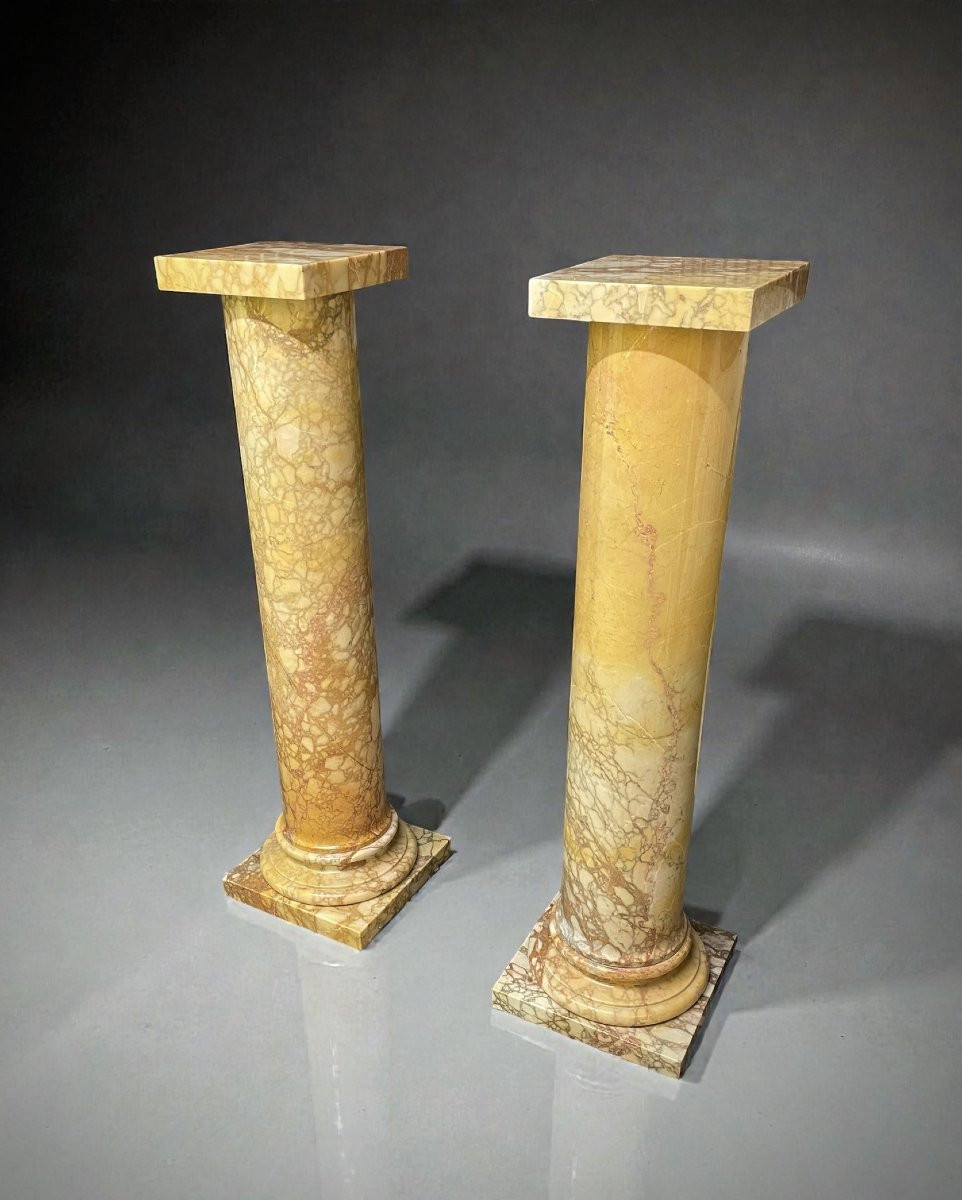 Pair 19th Century Roman Giallo Antico Marble Pedestal Columns-photo-3