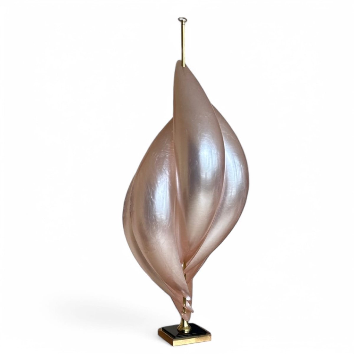 Maison Rougier, Shell Lamp, Circa 1970-photo-1