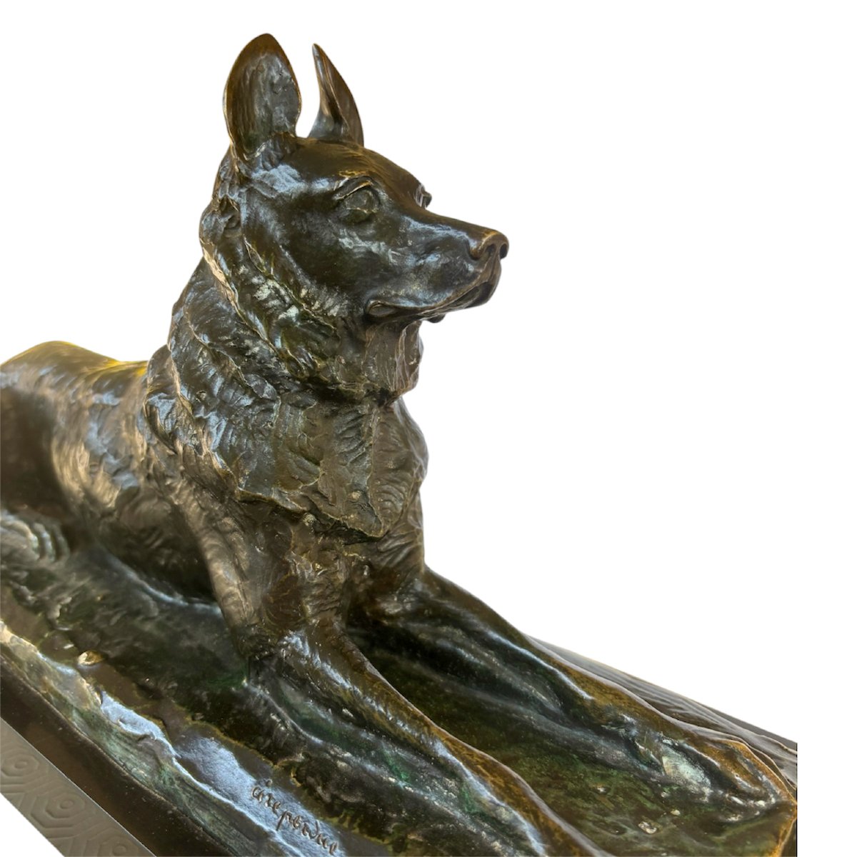 Pierre TOURGUENEFF, Chien Berger-photo-2