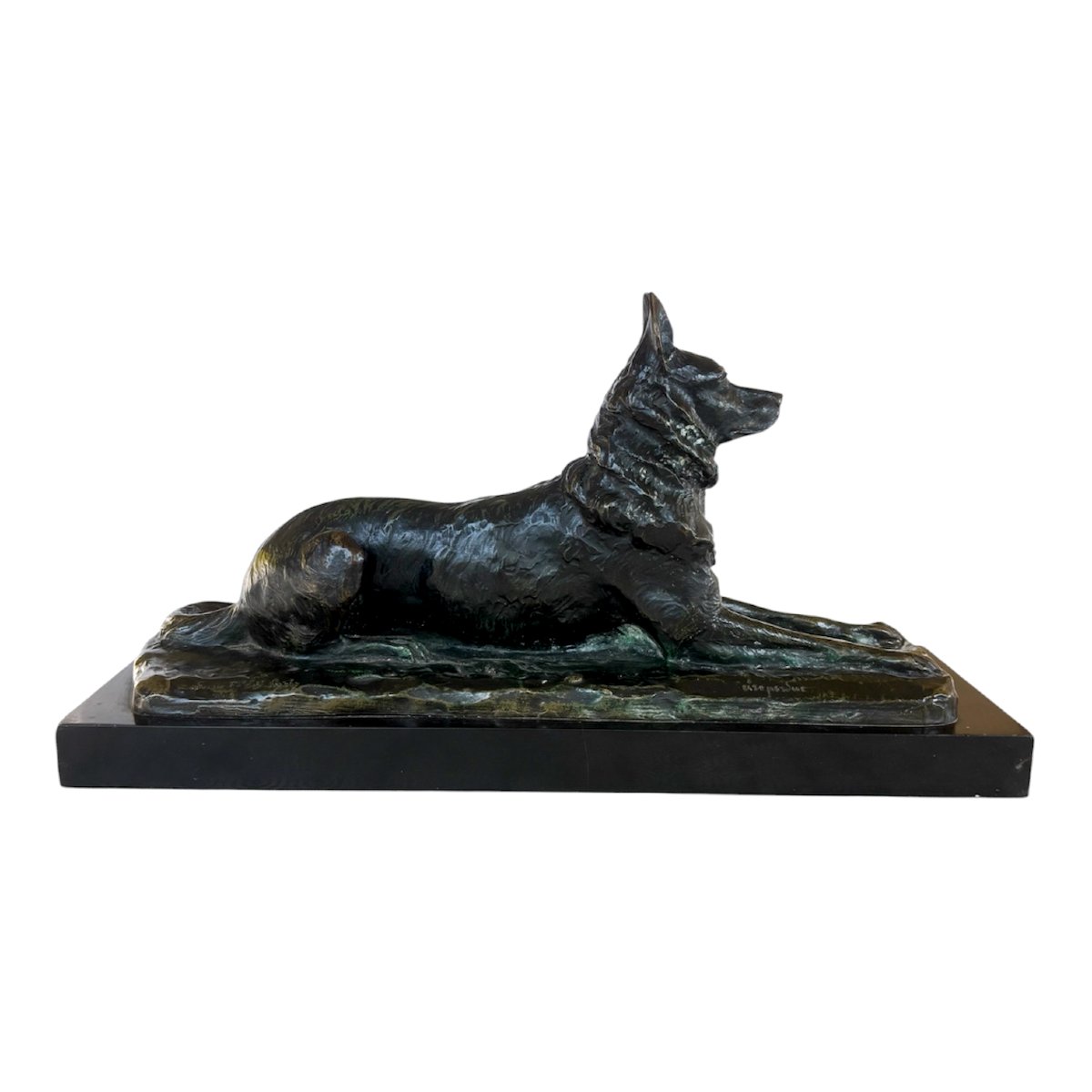 Pierre TOURGUENEFF, Chien Berger-photo-1