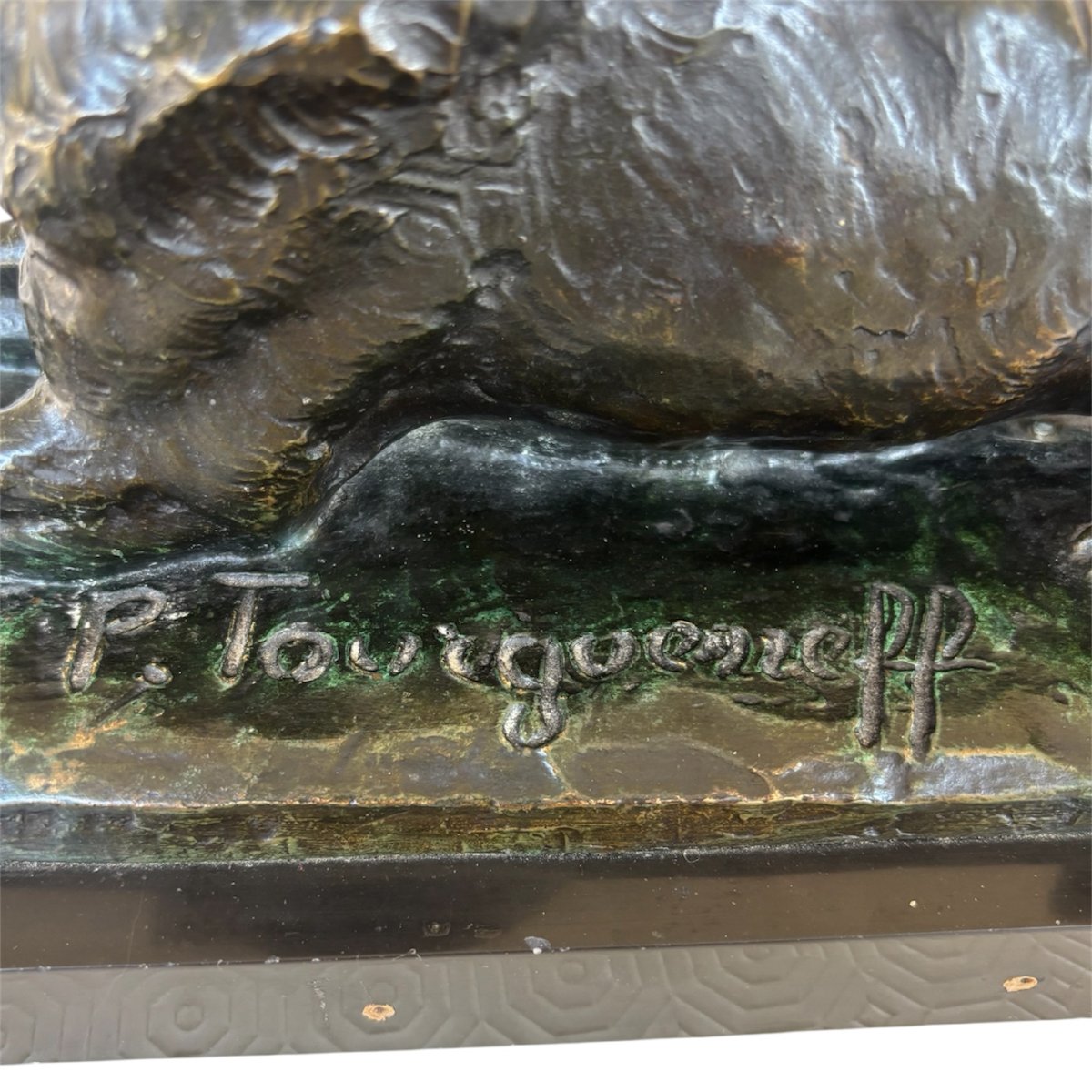 Pierre TOURGUENEFF, Chien Berger-photo-4