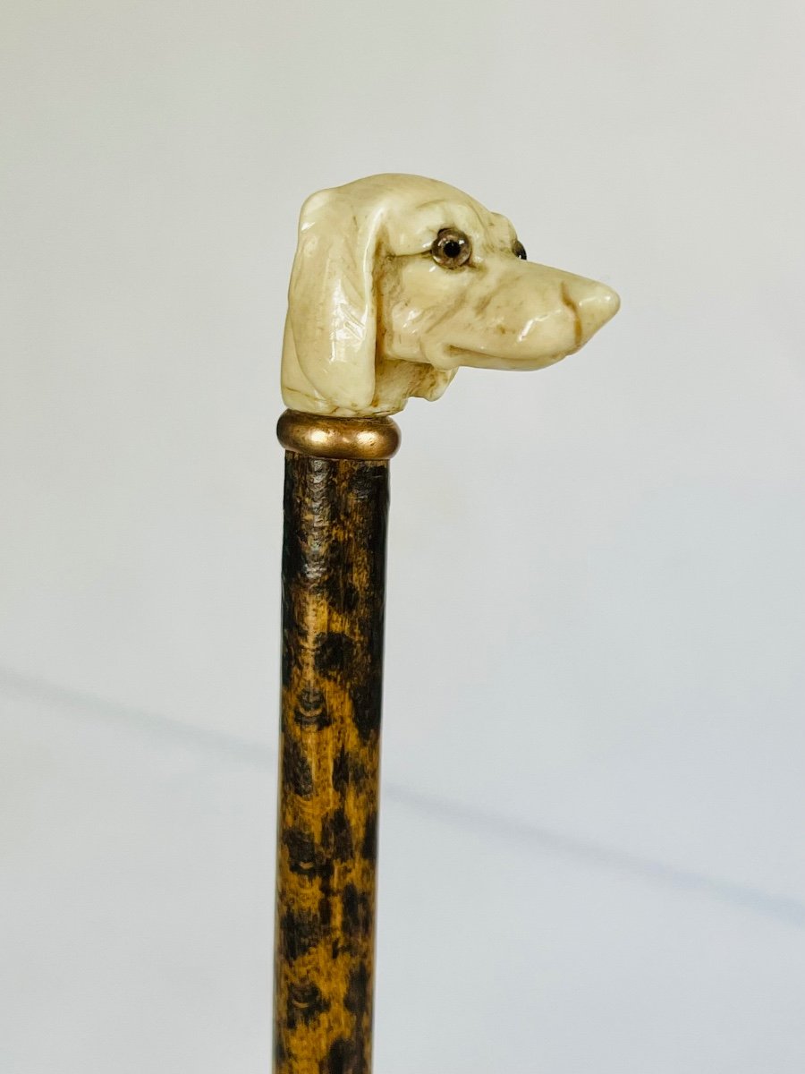Canne De Marche En Bois Chromé Avec Tête De Chien – Style Victorien, Cadeau élégant