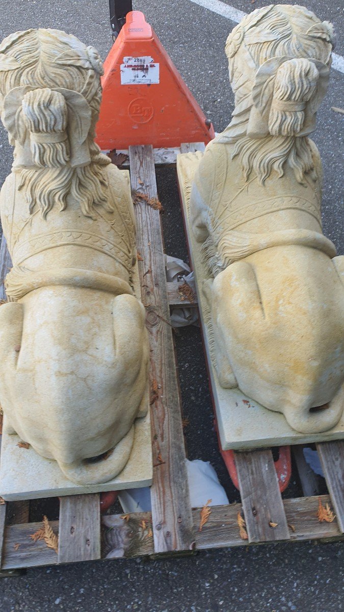 Pairs Of Sphinxes-photo-4