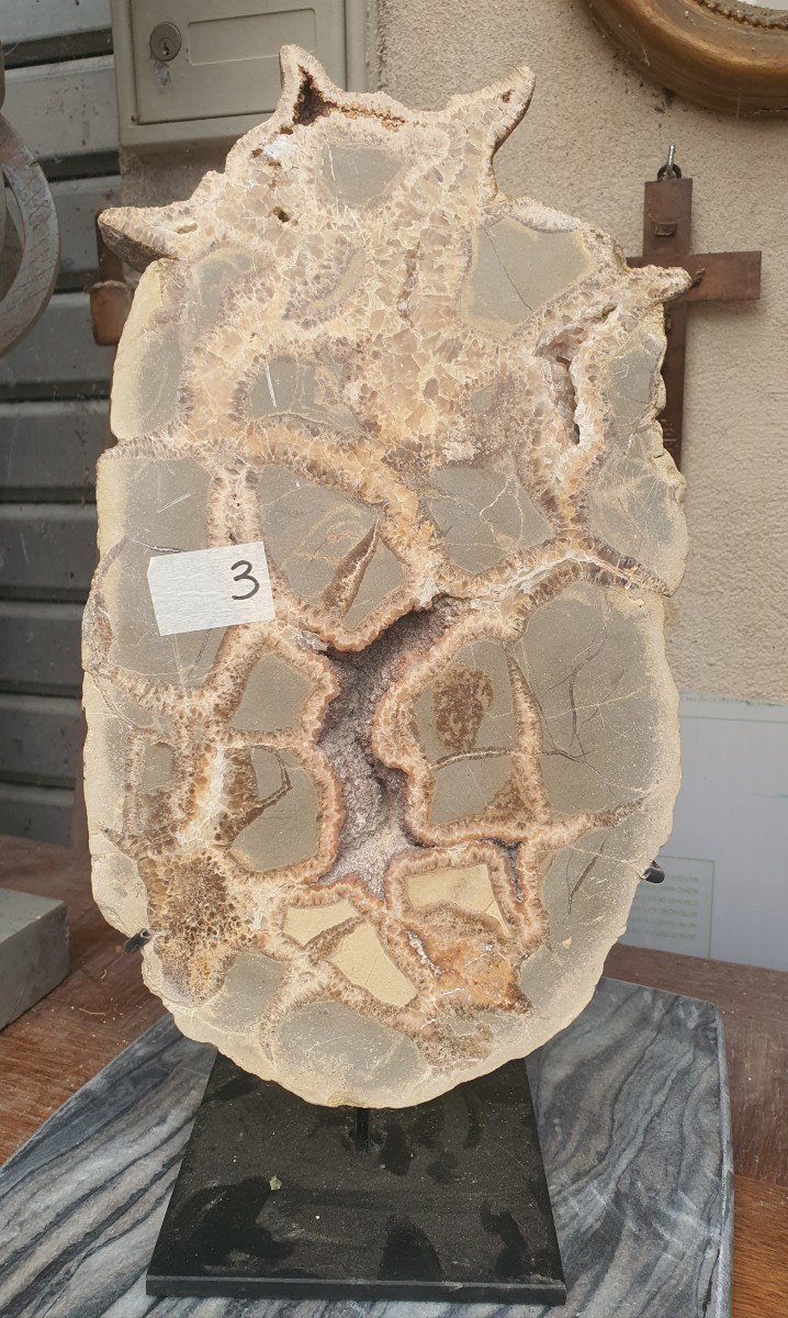 Septaria Fossil N3