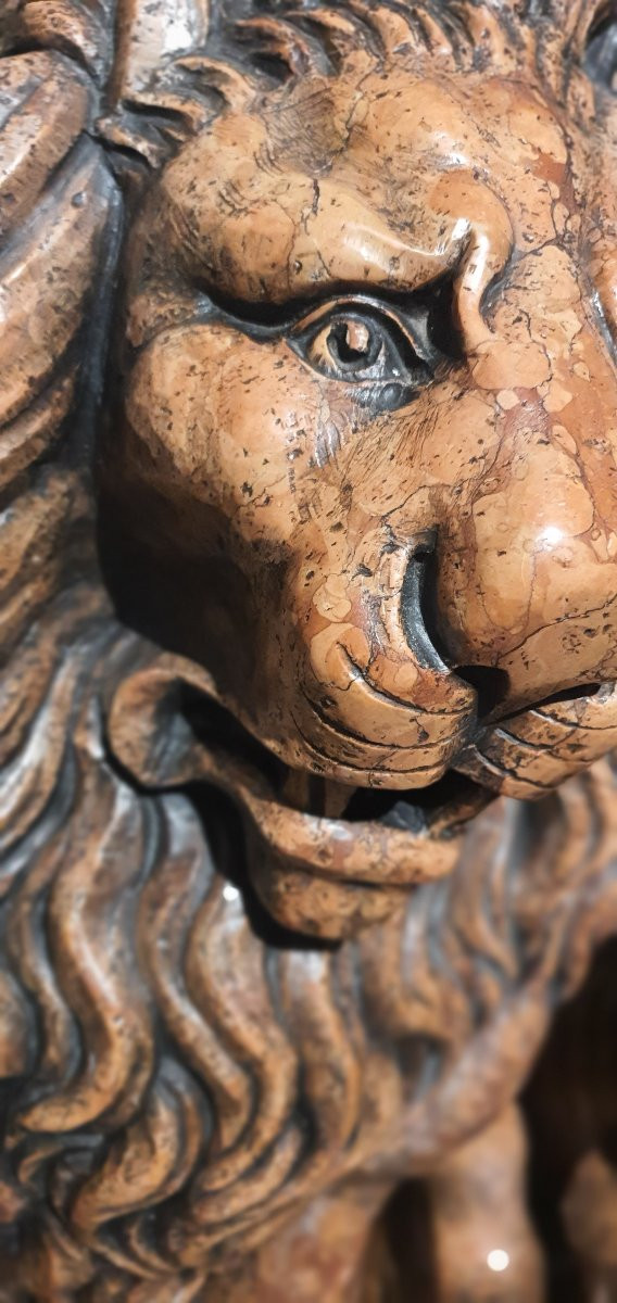 Paires de lions Marbre Breche Venitie 18/19eme Italie-photo-4