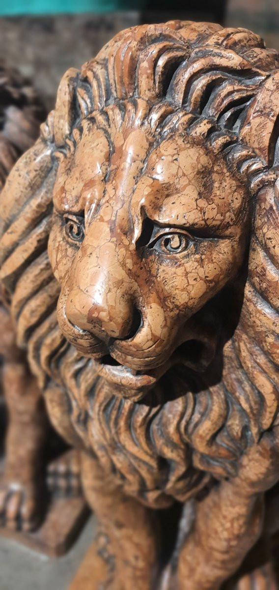 Paires de lions Marbre Breche Venitie 18/19eme Italie-photo-1
