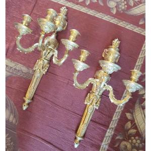 Pairs Wall Lights Louis XVI Periods