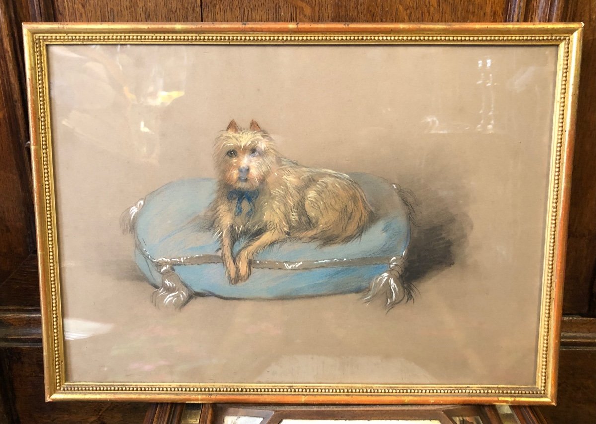 Tableau,pastel,portrait de Chien,fin XIXème Début XX ème Siècle.-photo-2