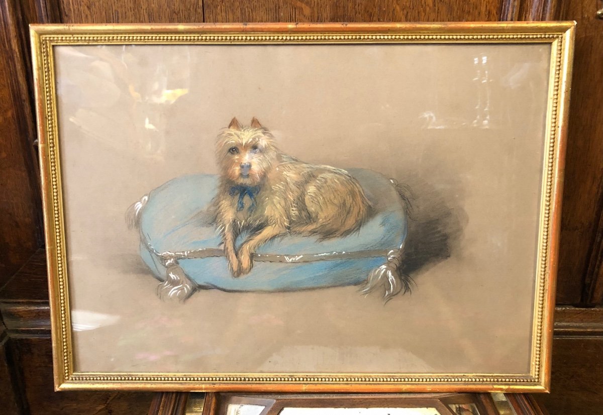 Tableau,pastel,portrait de Chien,fin XIXème Début XX ème Siècle.-photo-3