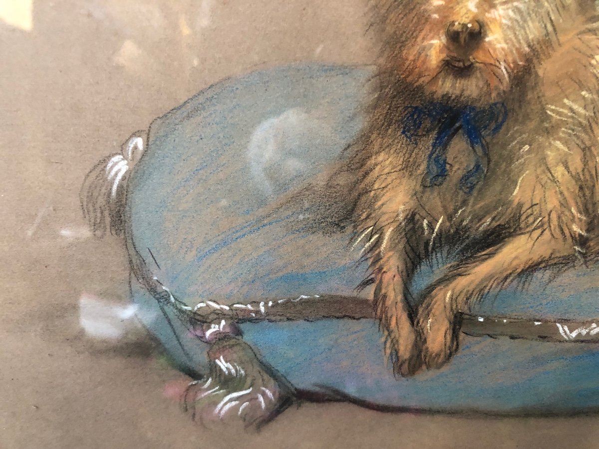 Painting, Pastel, Portrait Of Dog, Late 19th, Early 20th Century.-photo-1