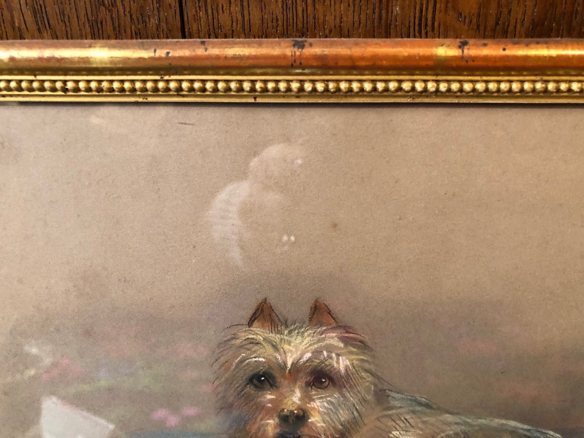 Painting, Pastel, Portrait Of Dog, Late 19th, Early 20th Century.-photo-4