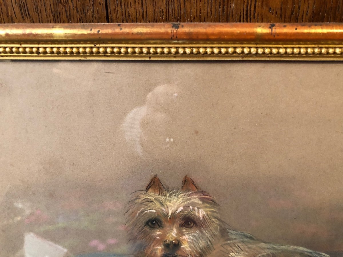 Tableau,pastel,portrait de Chien,fin XIXème Début XX ème Siècle.-photo-4